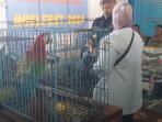 Kepala-KPPBC-TMP-C-Langsa-memperlihatkan-Burung-Macau-yang-disita.jpg