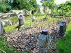 Makam-sultan-yang-bergelar-Sultan-Maruf-Syah.jpg