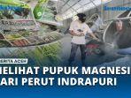 Melihat-Pupuk-Magnesium-di-Bukit-Indrapuri.jpg
