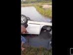 Ingat Kasus Mobil Berisi Kambing Curian Terbalik ke Tambak? Kini Pelakunya Tunggu Putusan Hakim