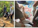Ocang-73-tahun-seorang-petani-tewas-usai-berduel-melawan-ular-King-Kobra-di-Sukabumi.jpg