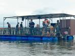 Ponton Fishing Langsa Mulai Beroperasi Besok, Mancing Sambil Nikmati Alam Mangrove 