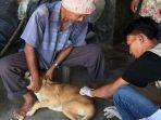 Cegah Rabies, Anjing dan Kucing Disuntik Vaksin Aceh Tengah