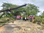 Waspada, Ada Pohon Tumbang di Sejumlah Ruas Jalan di Aceh Besar