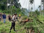Polres-Bireuen-bakarganja-di-Alue-Glumpang.jpg