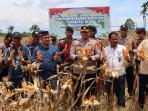 Polres Nagan Raya Panen Raya Jagung Serentak di Kebun Seluas 4 Hektare