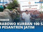 Prabowo-Kurban-100-Ekor-Sapi-ke-Pesantren-NU-dan-Muhammadiyah-Jatim-Ada-yang-Berat-1-Ton.jpg