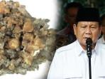 Presiden-RI-Prabowo-Subianto-menyebut-monasit-adalah-harta-karun.jpg