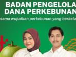 Rekrutmen-Badan-Pengelola-Dana-Perkebunan-Kelapa-Sawit-BPDPKS.jpg