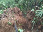 Rumpun Bambu Ambruk ke Sungai Cot Mancang Abdya, Hambat Aliran Air
