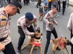 Seekor-anjing-K9-menggigit-celana-seorang-komandan-polisi-berpangkat-Ipda.jpg