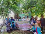 TAPURALIN-K : Inovasi Unsam Ubah Limbah Kakao Jadi Pupuk Ramah Lingkungan, Bantu Petani Aceh Timur