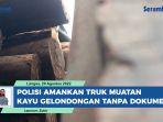 Truk-Tronton-Bermuatan-Kayu-Gelondongan-51-Batang-Diamankan-ke-Mapolres-Langsa.jpg