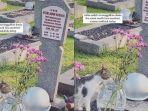 Viral-video-seekor-kucing-mengunjungi-makam-Ainun-sang-perekam-ungkap-kekaguman.jpg
