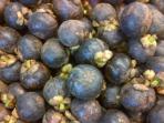 buah-buahan.jpg