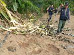 camat-dan-bksda-turun-ke-uteun-pulo-nagan-raya-meninjau-lokasi-gangguan-gajah-liar.jpg