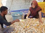 Harga Jagung Meroket di Gayo Lues