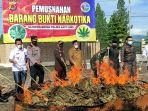 Polres Galus Musnahkan 59,7 Kg Ganja Kering, Diamankan dari Pelaku Asal Aceh Tamiang