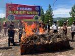 Boyong Tersangka ke Lapangan, Polres Gayo Lues Musnahkan Barang Bukti 158 Kg Ganja Kering