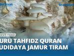 guru-tahfidz-quran-sdit-sabilun-najah-lawe-loning-budidaya-jamur-tiram.jpg