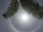 halo-matahari_20170330_175949.jpg
