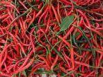 Harga Eceran Cabai Merah di Gayo Lues Capai Rp 45.000/Kg