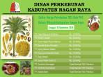 Update Harga TBS Sawit Pekan Ini di Nagan, Tertinggi Bertahan Rp 2.950/Kg, Cek Harga di 8 PMKS