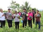 hasil-panen-semangka-dan-melon-di-kebun-petani-mandiri-binaan-Bhabinkamtibmas-Abdya.jpg