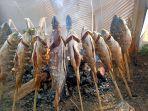 Ikan Mas Segar Asal Kutacane Banjiri Pasar Galus, Segini Harganya