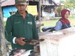 ikan-kerapu-di-aceh-singkil_serambi_.jpg
