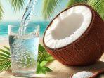 ilustrasi-air-kelapa-12-12.jpg