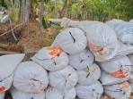 Bulog Sigli Kembali Serap Gabah Petani, Gerakan Pangan Murah Tiap Kecamatan Sesuai Hari Pekan