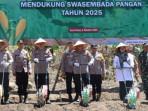 jagung-ijk.jpg