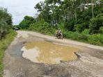 jalan-rusak-berkubang-dan-digenangi-air-di-ruas-jalan-peureulak-lokop.jpg