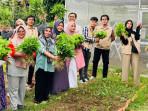 kebun-8ijkl.jpg
