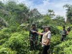 Setelah Aceh Tamiang, Giliran Kebun Kelapa Sawit Ilegal di TNGL Langkat yang Ditertibkan Satgas PKH