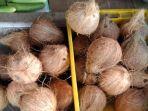 kelapa-u99iok.jpg