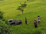 Mobil Avanza Terjun Bebas ke Sawah di Ketukah Lintasan Terangun Blangkejeren, Begini Kronologisnya