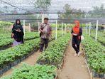 nilam-aceh-2-juli-2021.jpg