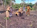 Distanpangan Sabang Tanam Padi Gogo di Anoe Itam, Upaya Perkuat Ketahanan Pangan