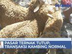 pasar-ternak-ditutup-transaksi-kambing-dan-biri-biri-di-gandapura-bireuen-tetap-normal.jpg