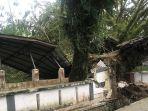 pohon-trembesi-berumur-ratusan-tahun-tumbang.jpg