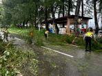 polisi-bersihkan-pohon-tumbang-di-Aceh-Jaya.jpg