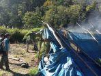 Polisi Gayo Lues Temukan 16 Hektare Ladang Ganja, Ini Lokasi Ladangnya