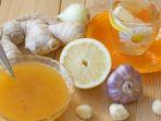 ramuan-jahe-bawang-putih-dan-madu-untuk-menurunkan-kolesterol-begini-cara-membuatnya.jpg