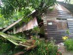 rumah-tertimpa-pohon-di-acut.jpg