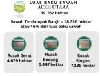 sawah-terdampak-banjir-mulai-direhab.jpg