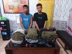 tersangka-kurir-ganja-dan-barang-hukti-ganja-10-kg-diamankan-di-mapolres-langsa.jpg