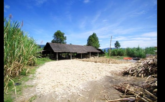 Si Manis dari Ketol - 080613_1.jpg