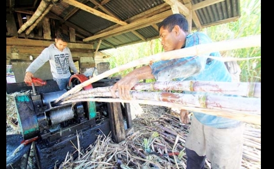 Si Manis dari Ketol - 080613_3.jpg